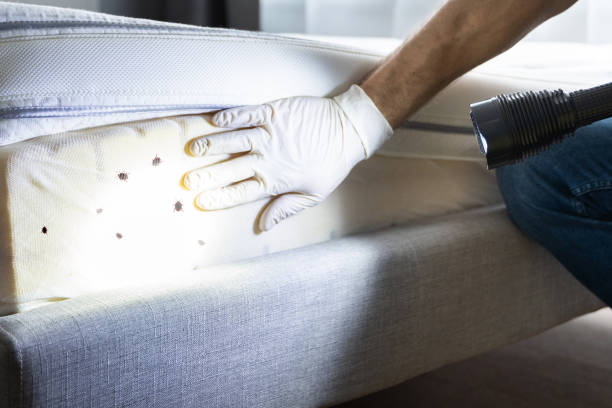 Best Best Pest Control Companies  in Poipu, HI
