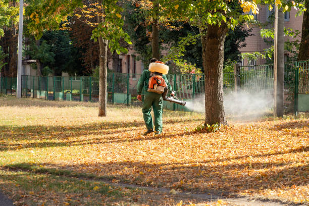 Trusted Poipu, HI Pest Control Experts